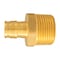 Apollo Apollo Expansion PEX / Pex A 1/2 in. Expansion PEX in to X 3/4 in. D MPT Brass Male Adapter EPXMA1234 - alternate 1